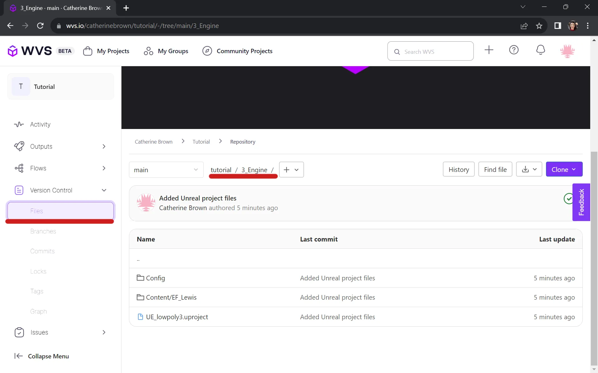 Your files should be on WVS now. When you click on the 3_Engine folder, you will see that certain folders like DerivedDataCache are missing. That's because they are excluded from version control.