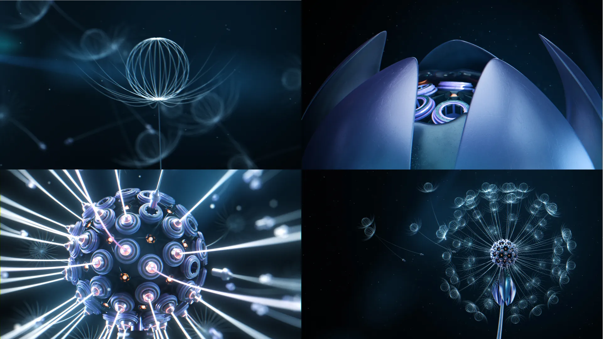 still images by zazu