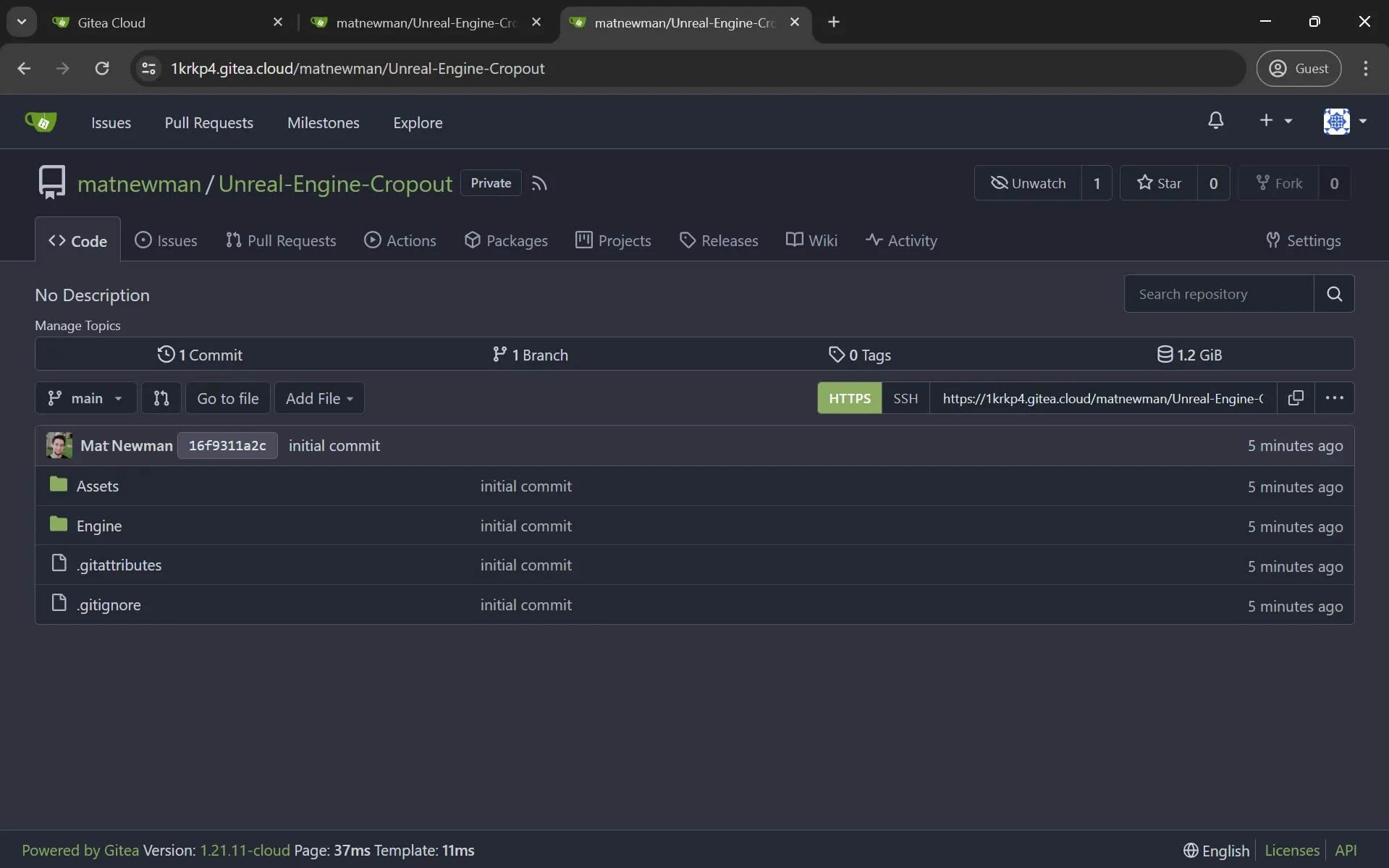 Gitea client project overview