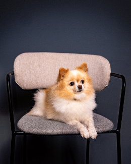 Portrait de l'équipe