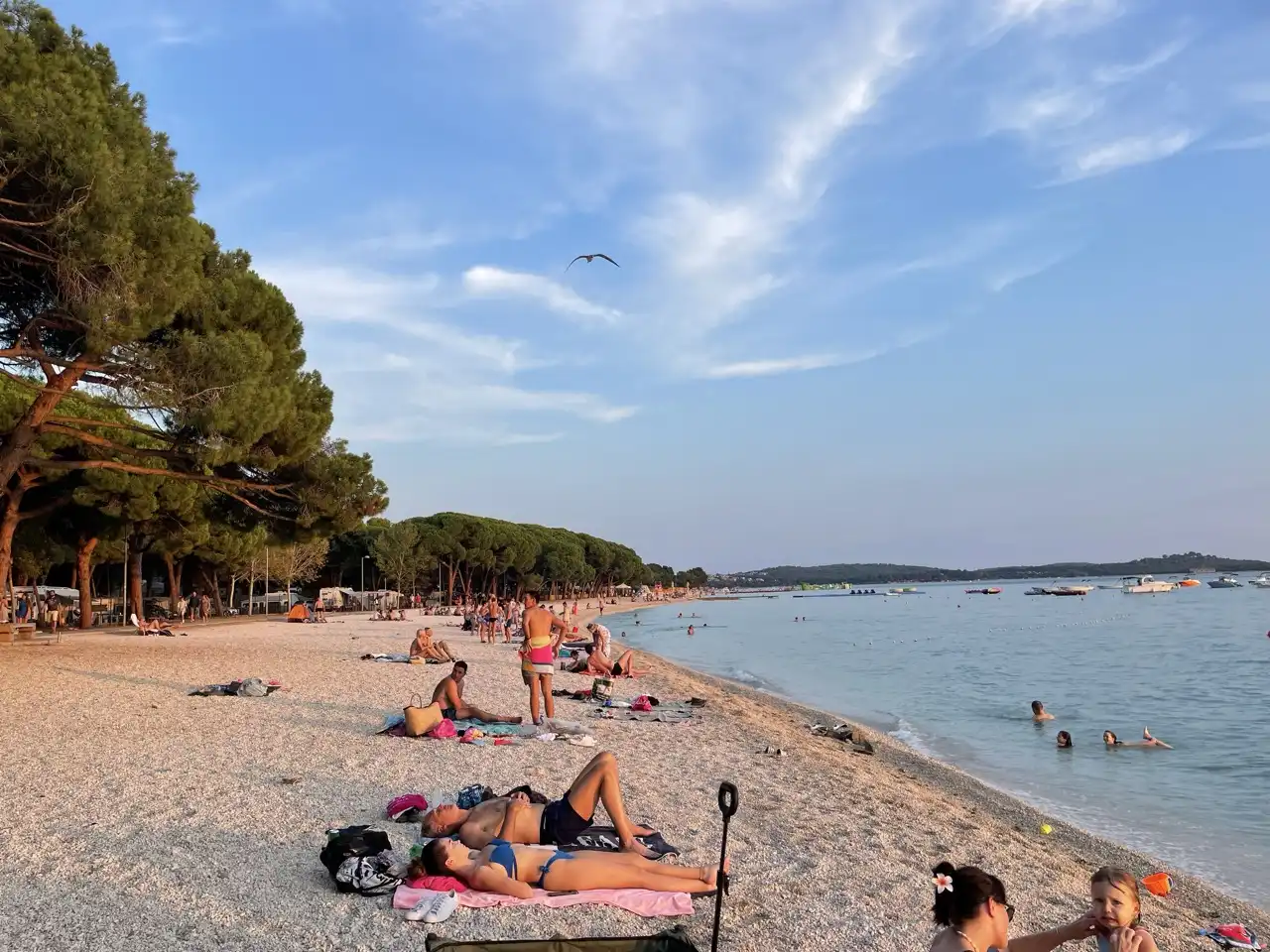 Informazioni su lavoro e vacanze - The Flexopus Workation