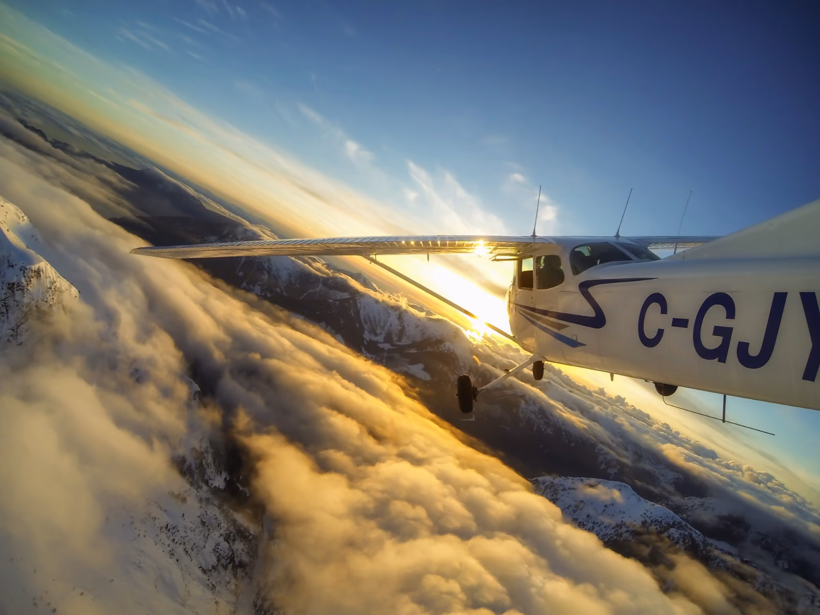 What Is An Aviator?
