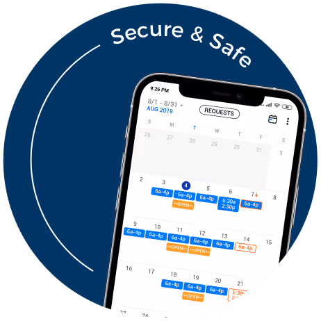 Intrigma Secure and safe
