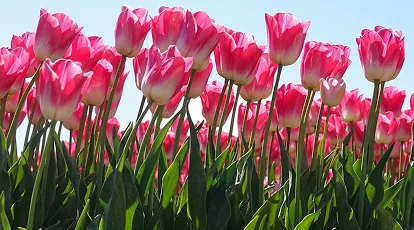 Anlegerbrief April 2026