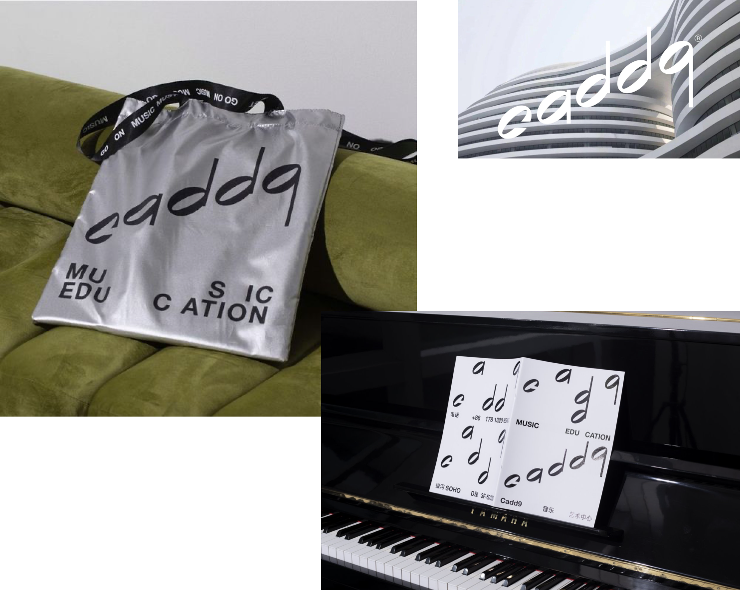 caddq brand identity and visuals consistency