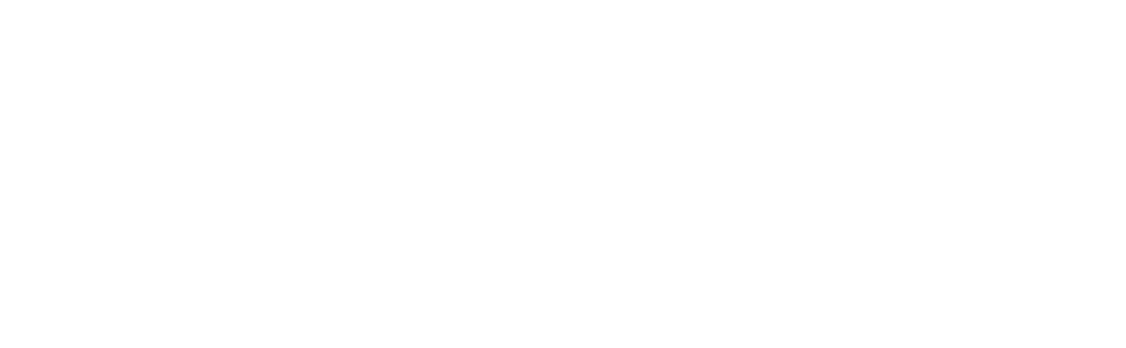 steuerfabi
