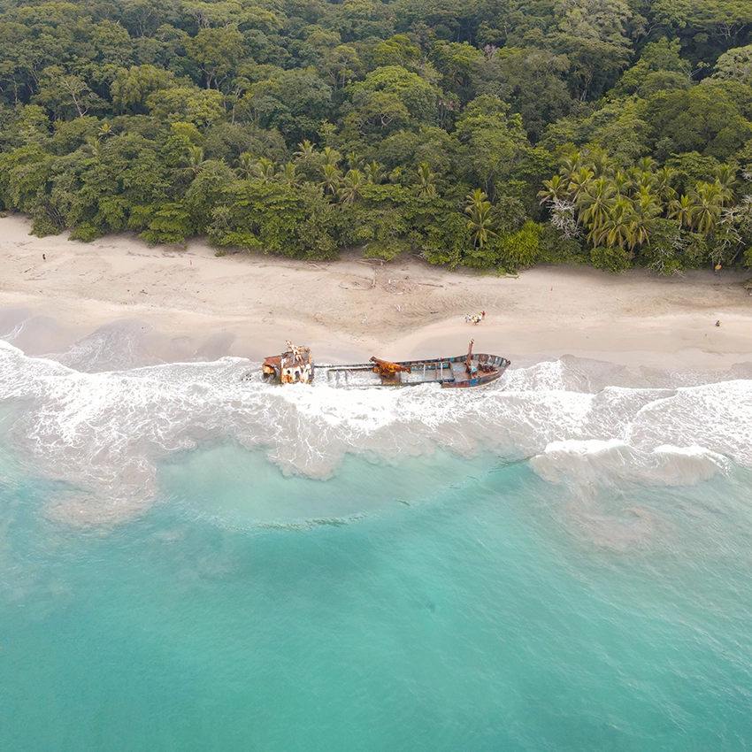 Havariertes Schiff an Palmenstrand - Beitragsbild von Lexware Tell Your Story