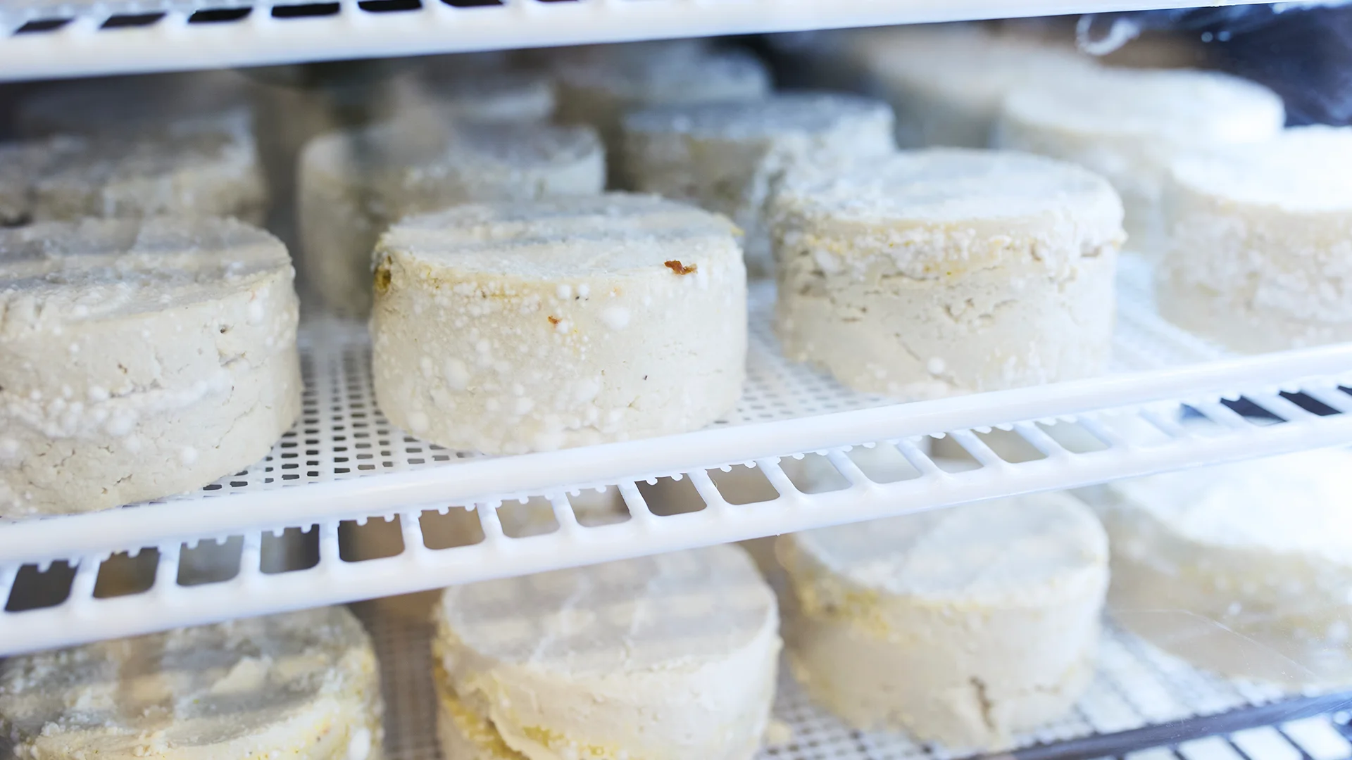 Veganer Käse von VEEZE in einem Kühlschrank