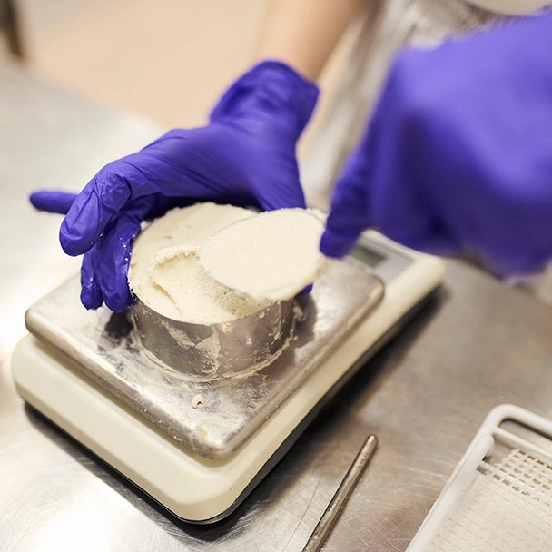 Der vegane Käse von VEEZE Im Fokus