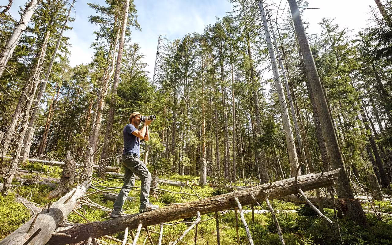 Fotograf beim Fotografieren im Schwarzwald