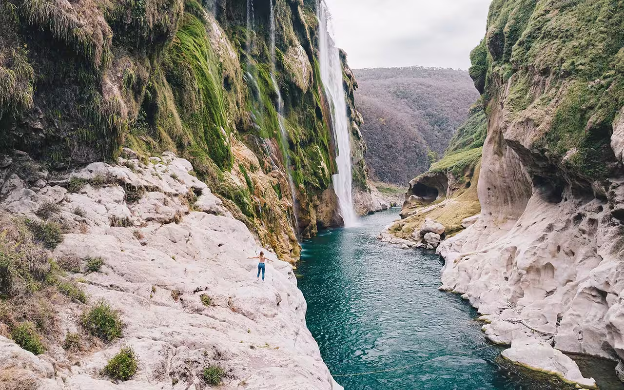 Tropische Natur mit Wasserfall