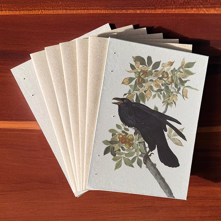 Sechs Buchdeckel aus Naturpapier auf einer Holzplatte, der oberste mit Raben-Illustration.