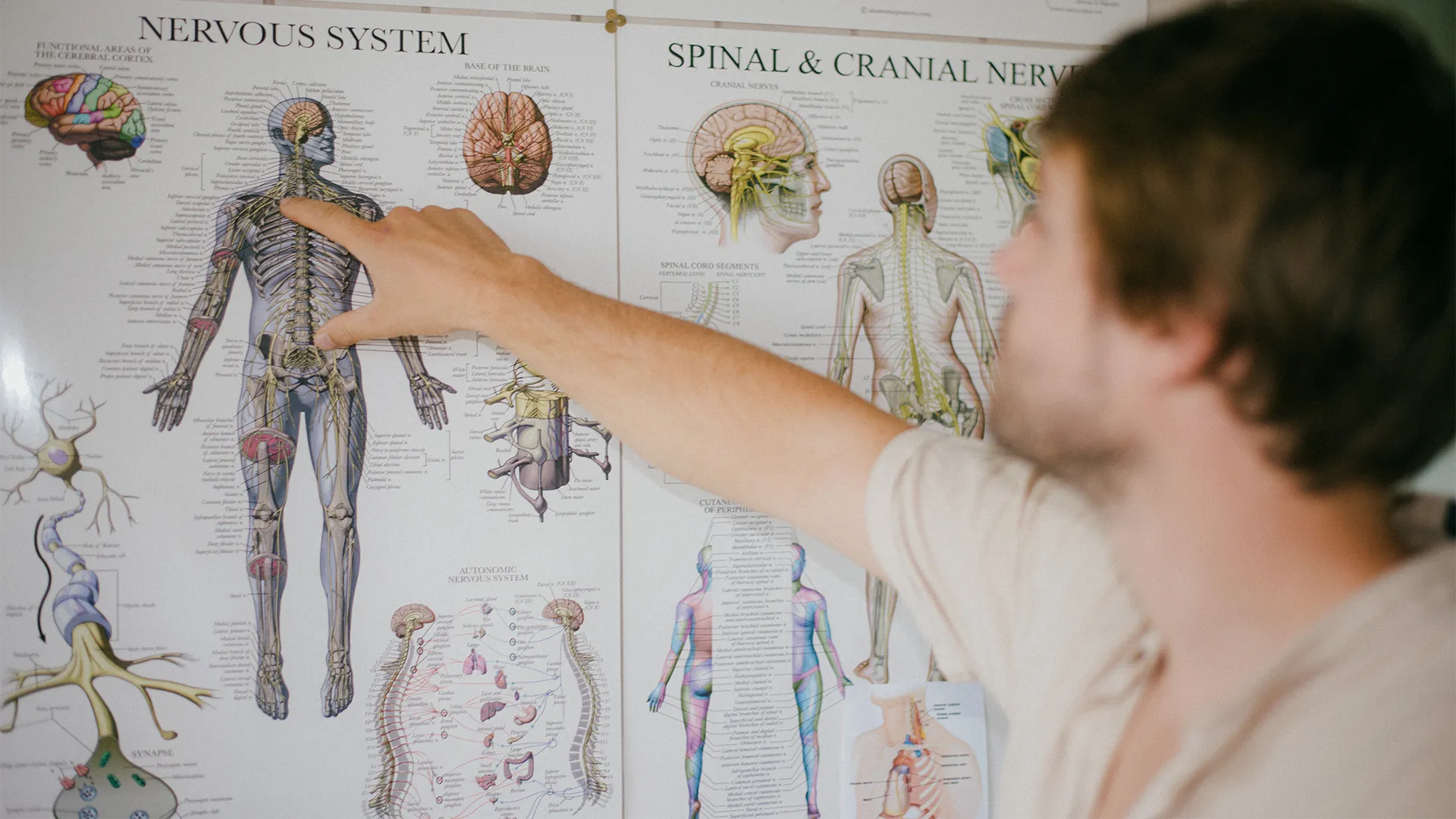 Tom Gabler zeigt auf ein Anatomie-Poster des Nervensystems an der Wand seiner Praxis.