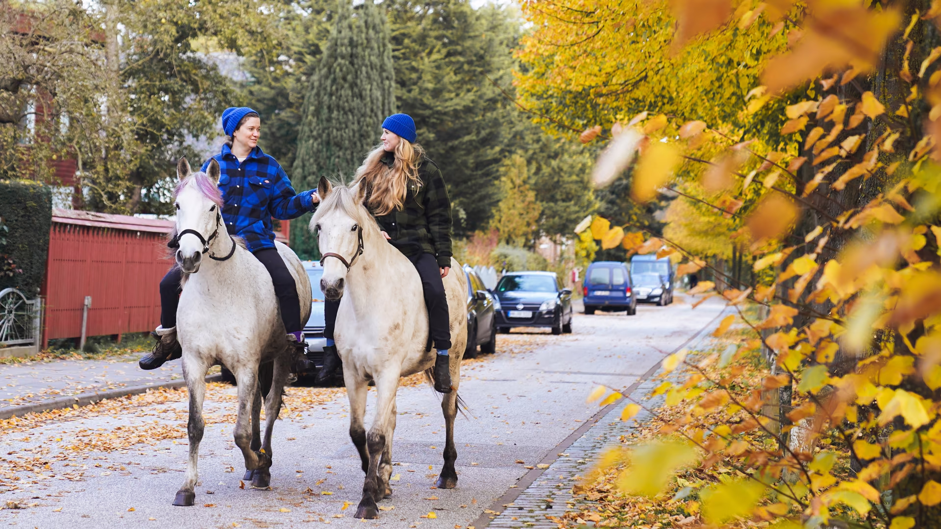 Sophie Rönnau und Christina Rüschhoff reiten auf zwei Schimmeln eine herbstliche Straße entlang, rechts leuchtet gelbes Laub.