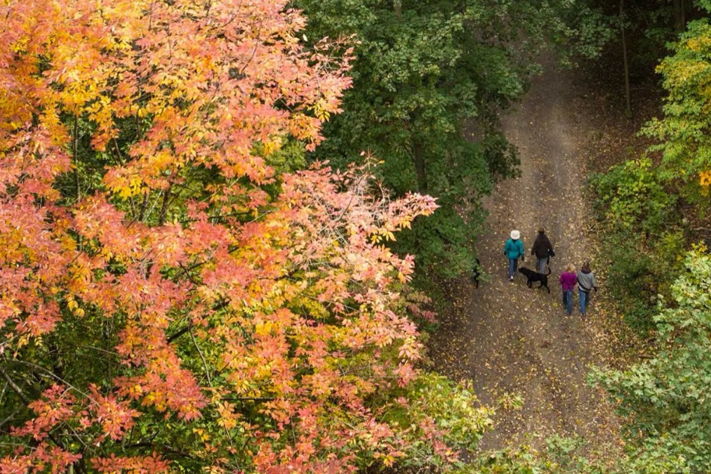 Hikers in the Don Valley