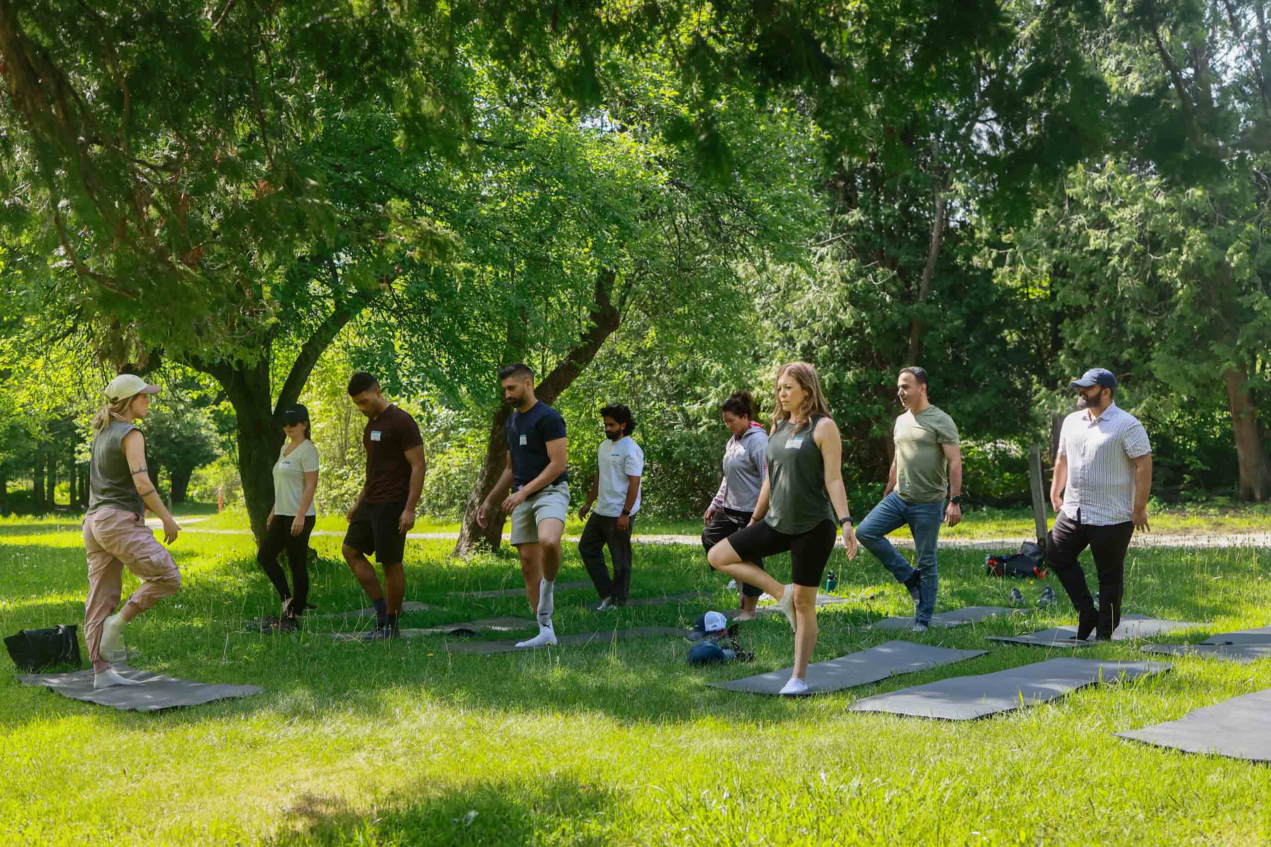 A group hiking a forest trail with a Wilderness Union guide