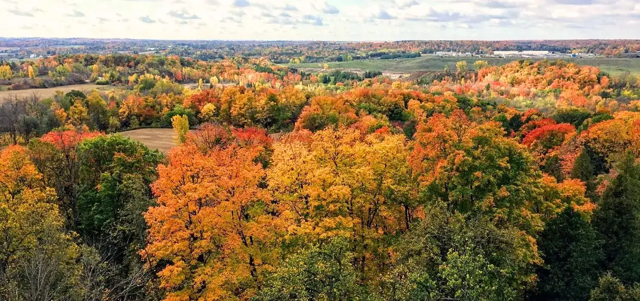 Cliff-edge view over Nassagaweya Canyon from Rattlesnake Point in fall colour