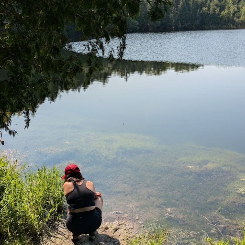 Crawford Lake ringed by fall colour