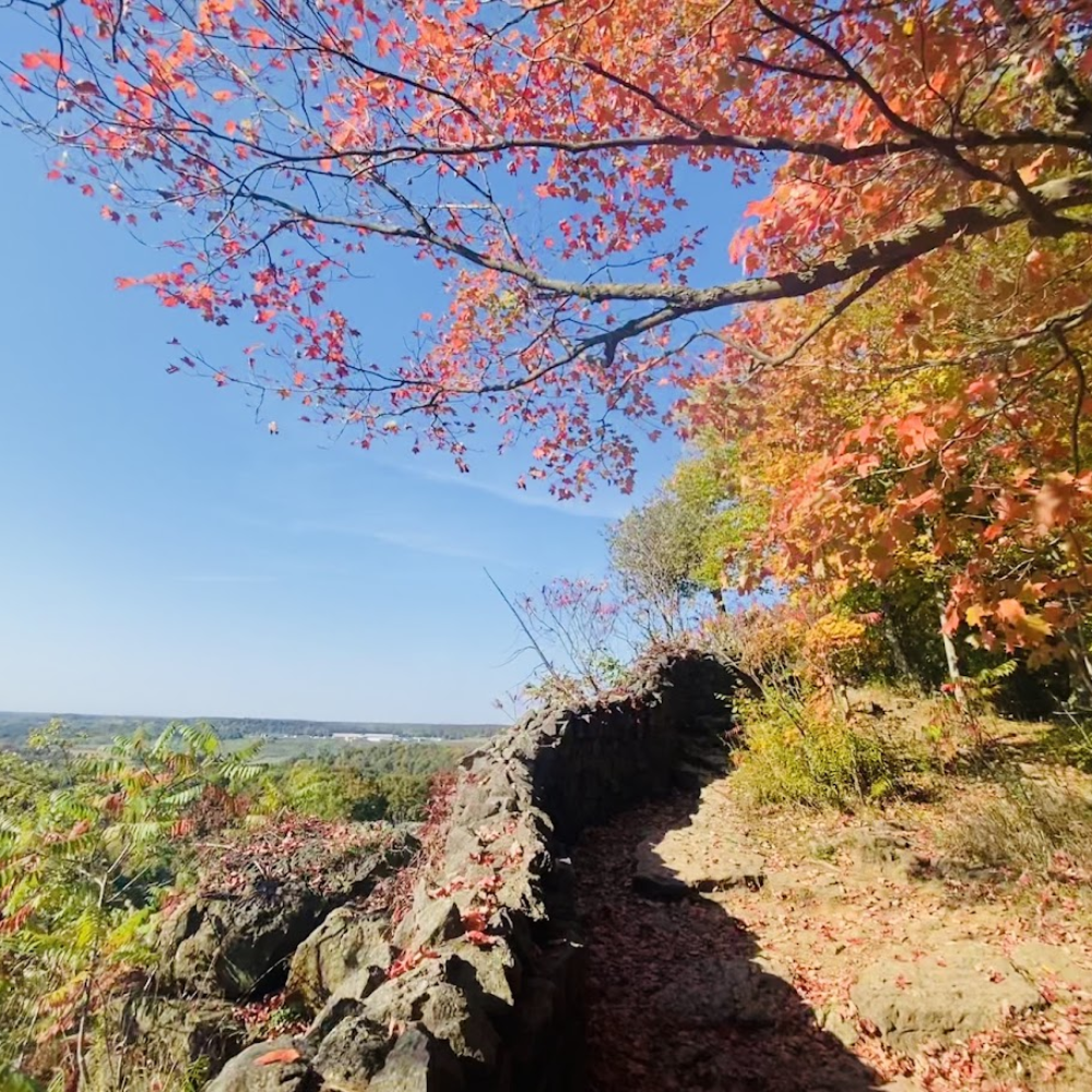 Rocky cliff-edge trail at Rattlesnake Point under red maple leaves