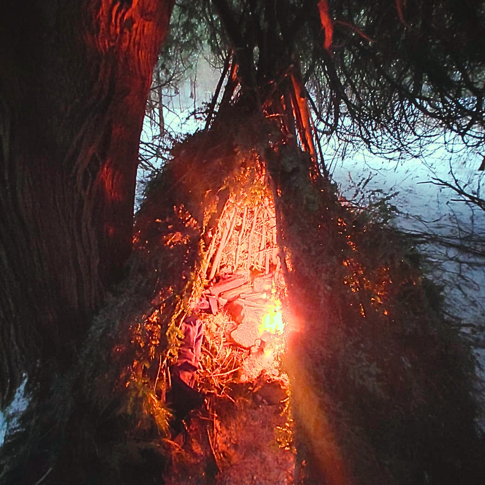 A tinder bundle catching flame in the forest