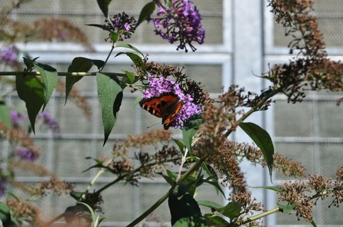 Noistop Steel - Privatboliger