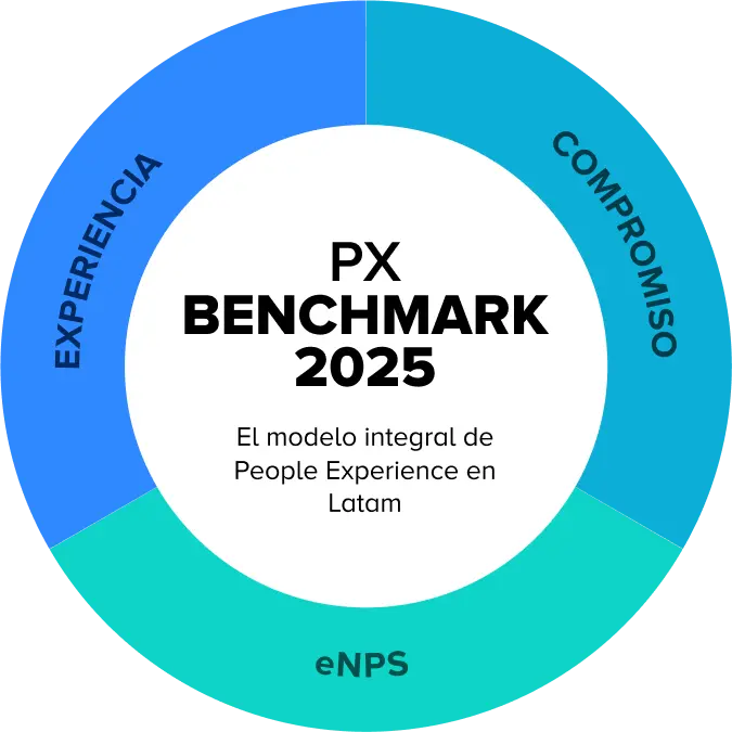 modelo benchmark slik