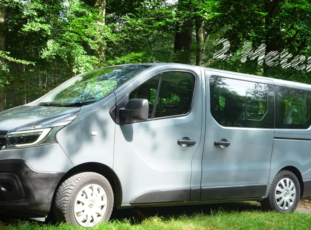 Grijze 9-persoonsbus geparkeerd in een bosrijke omgeving met zonlicht dat door de bomen valt.