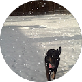 S Emmons Profile Photo