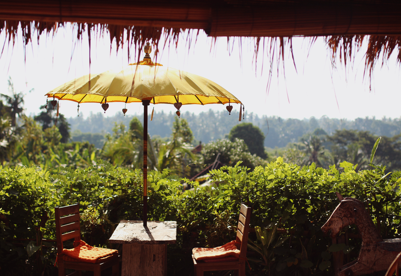 Yellow Flower Cafe - The Travelling Light