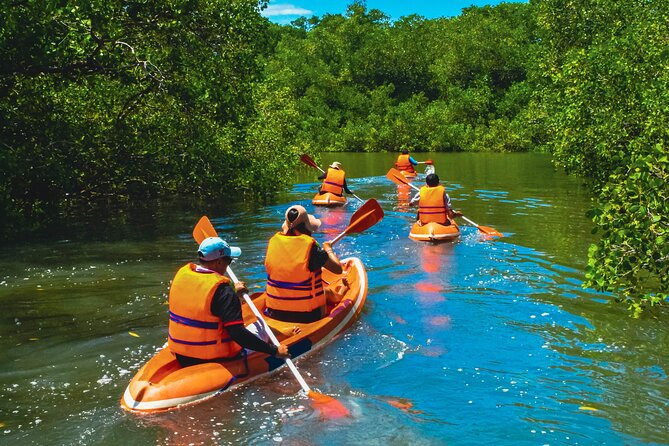 Bali Mangrove Canoeing Tour 2026