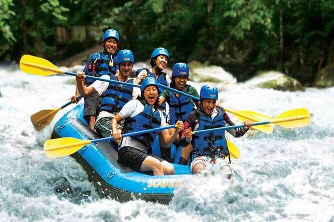 Aventura de rafting en las aguas rápidas de la selva de Bali 2026 - Ubud