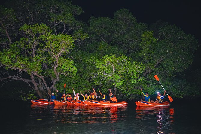 2026 Evening Bali Mangrove Canoe Tour (Nusa Dua) - with Trusted Reviews