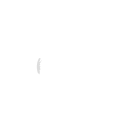 Vicarius