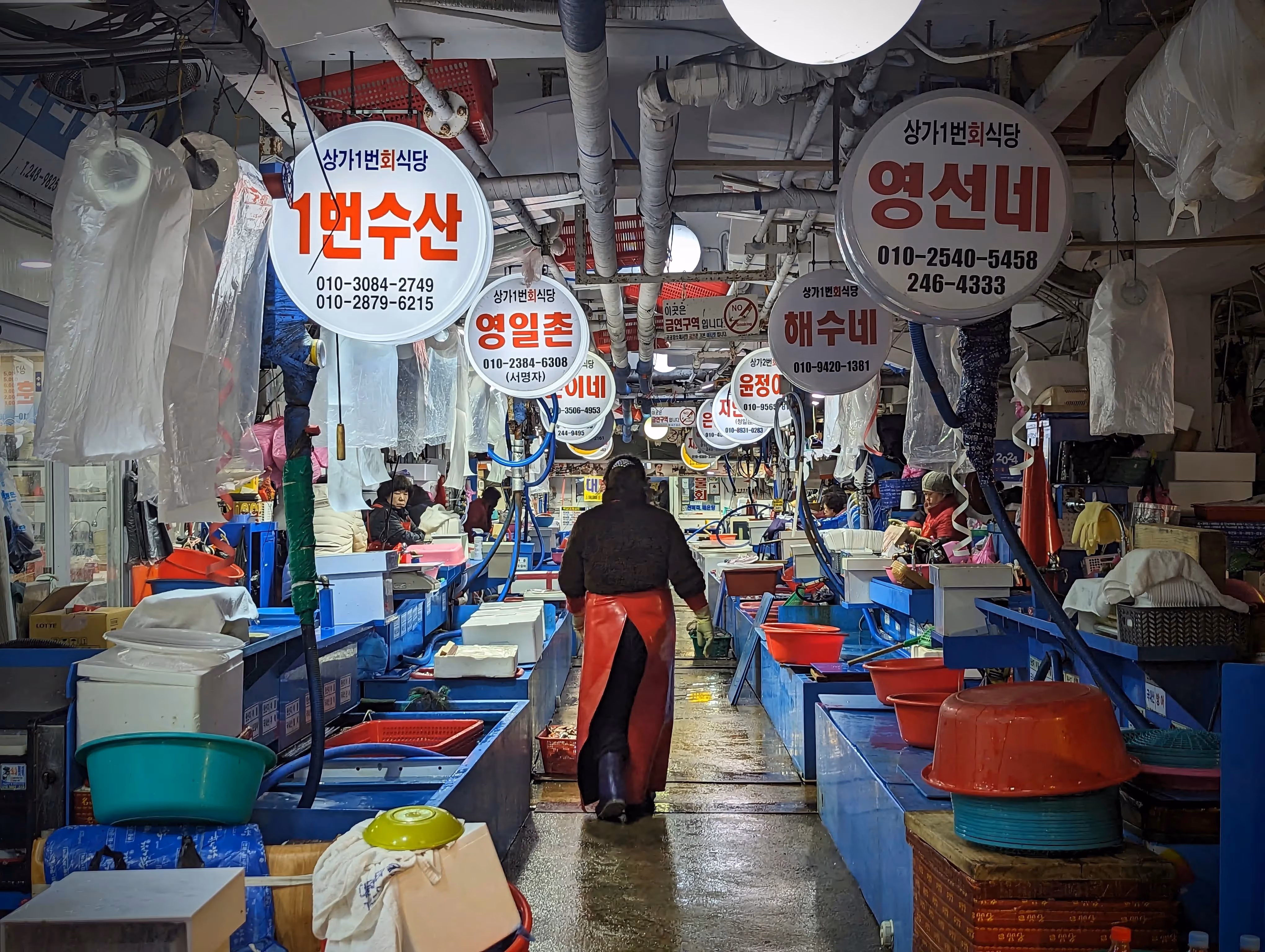 Le marché au poisson Jukdo à Pohang