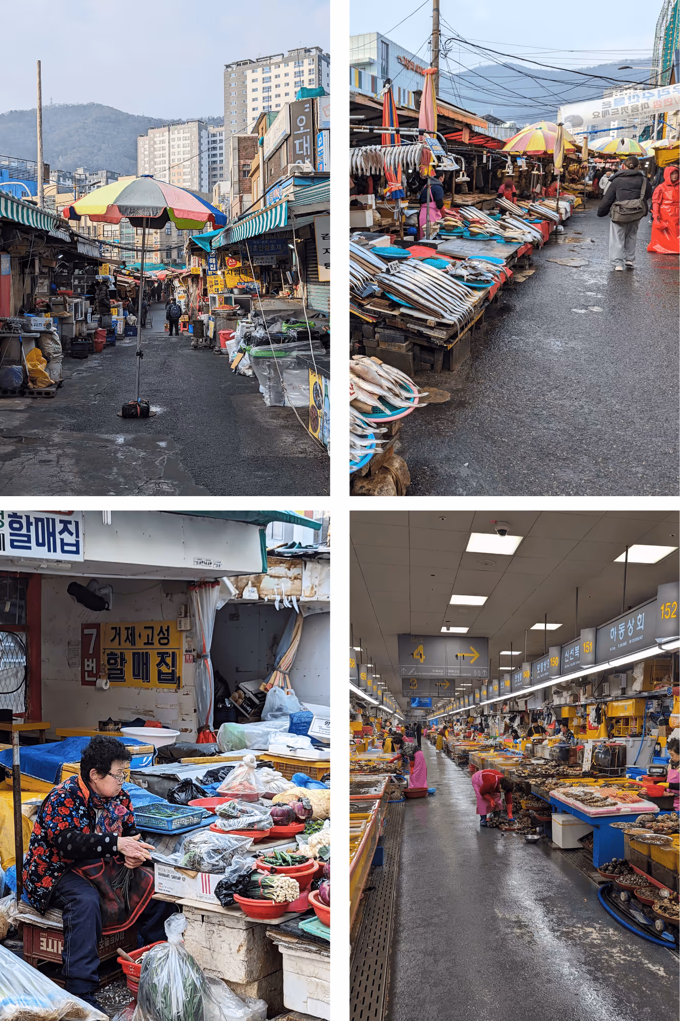 A view of Jagalchi Market, Busan, South Korea