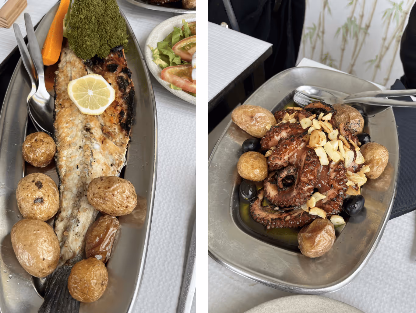 Bass fish and octopus in Ericeira