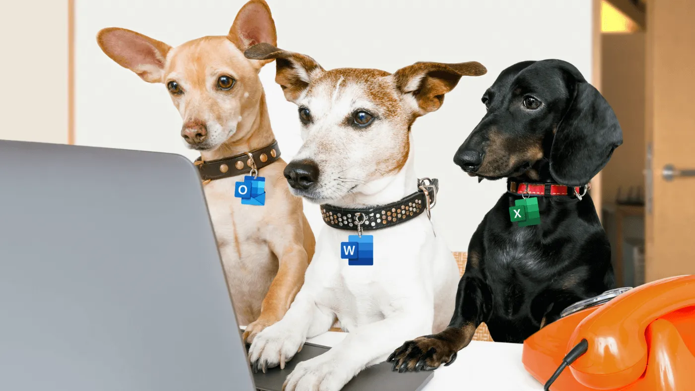 "Pawalegals" working at a computer together