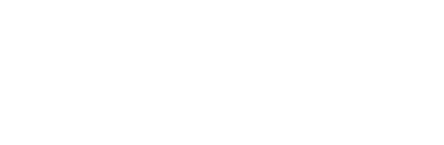 Anzer