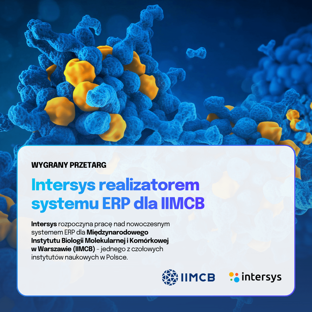 Intersys realizatorem systemu ERP dla IIBCM
