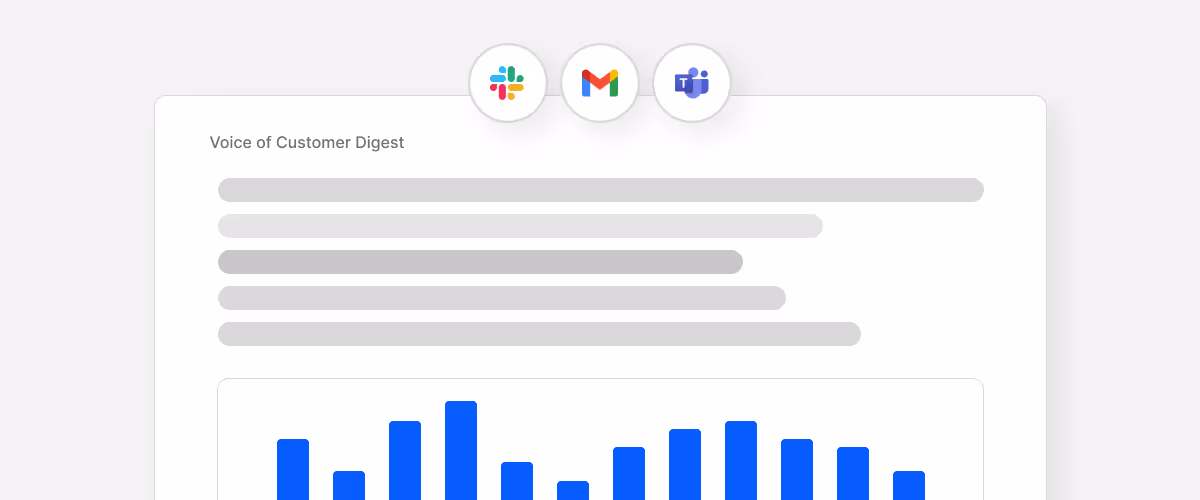 Example of Voice of Customer Digest
