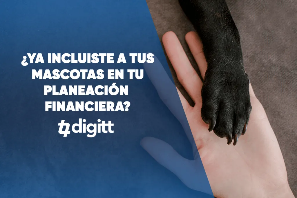 Consejos Para Tener una Mascota Sin Descuidar tus Finanzas