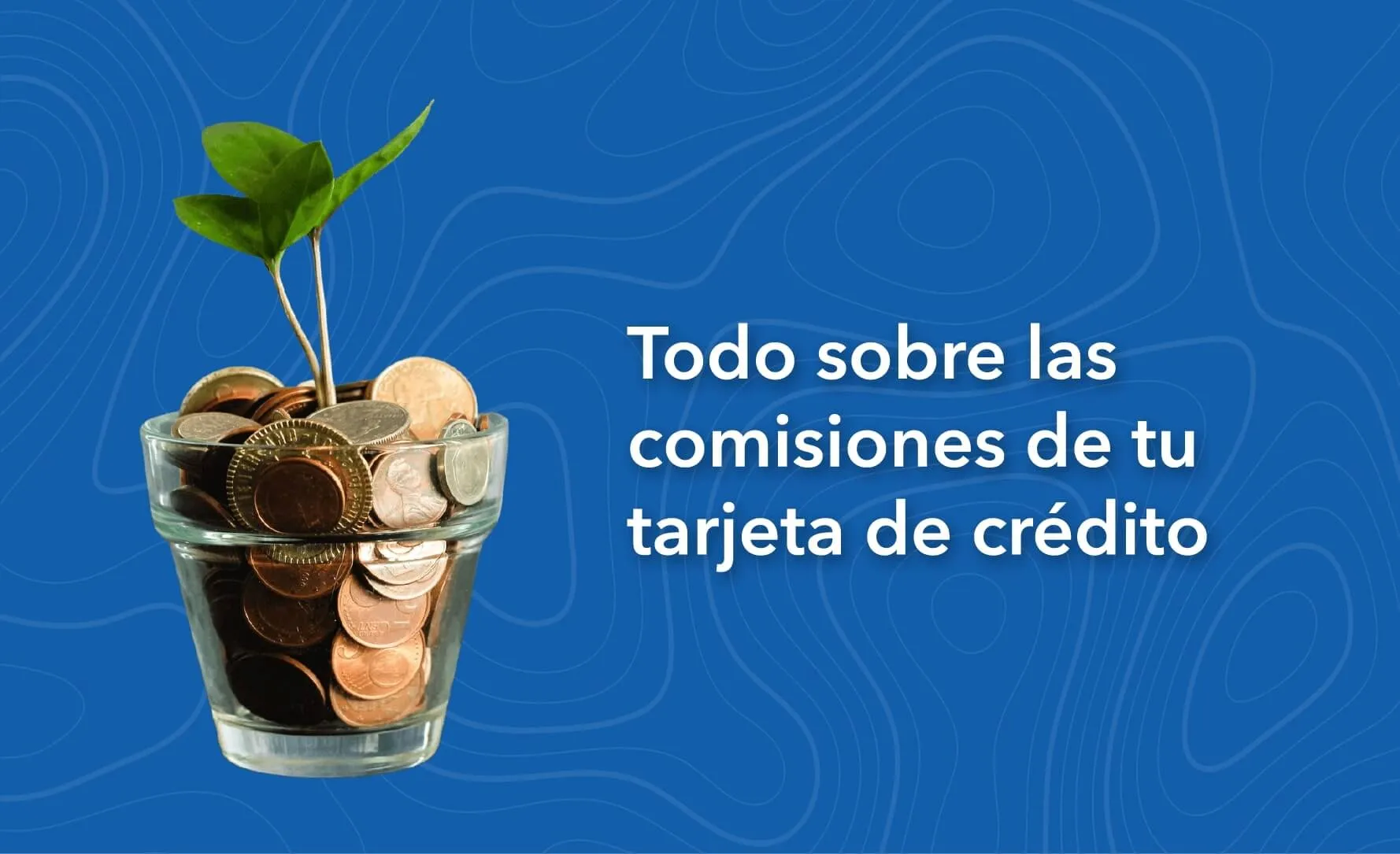 ¿Qué son las Comisiones de la Tarjeta de Crédito?