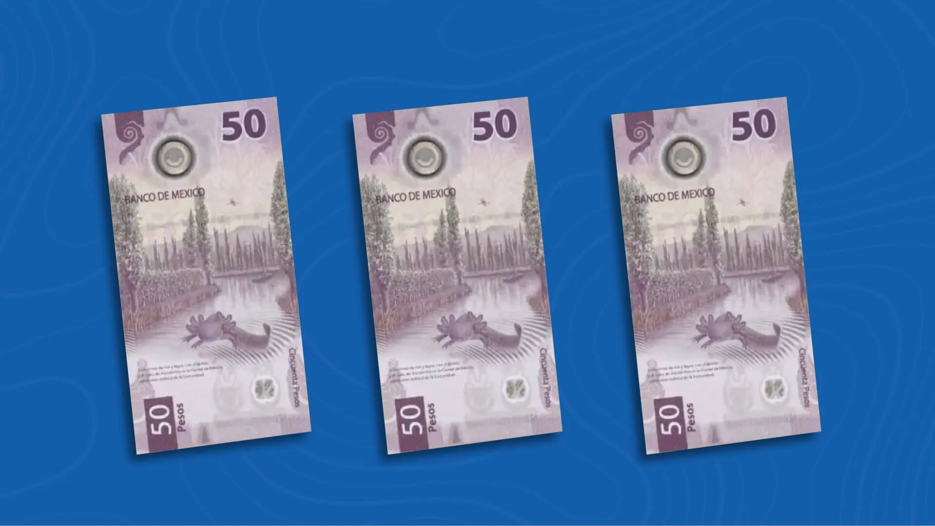 Cómo Hacen el Dinero en México