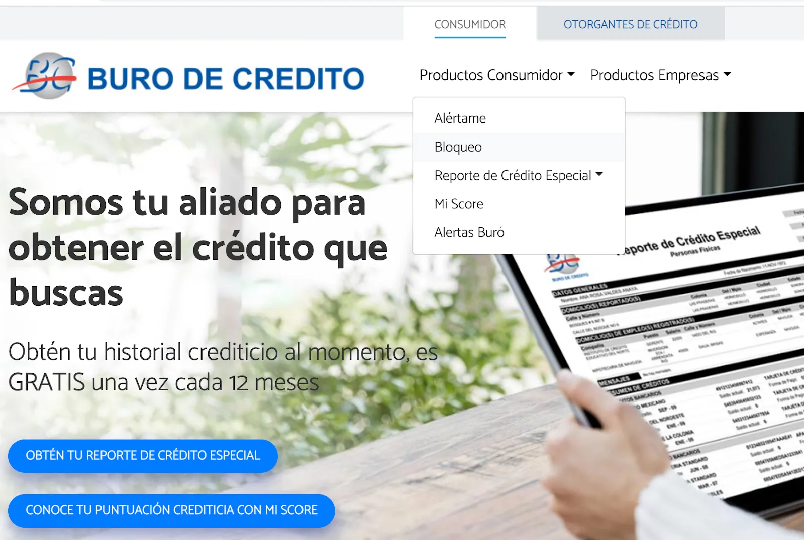 Página principal de buró de crédito