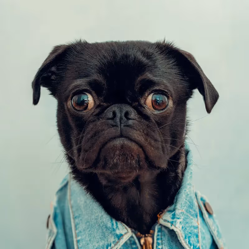 ¿Qué pasa si no pago mi tarjeta de crédito? Consecuencias y soluciones