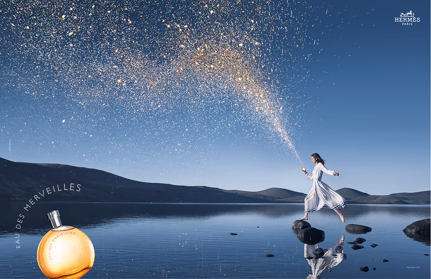 Vincent van de Wijngaard