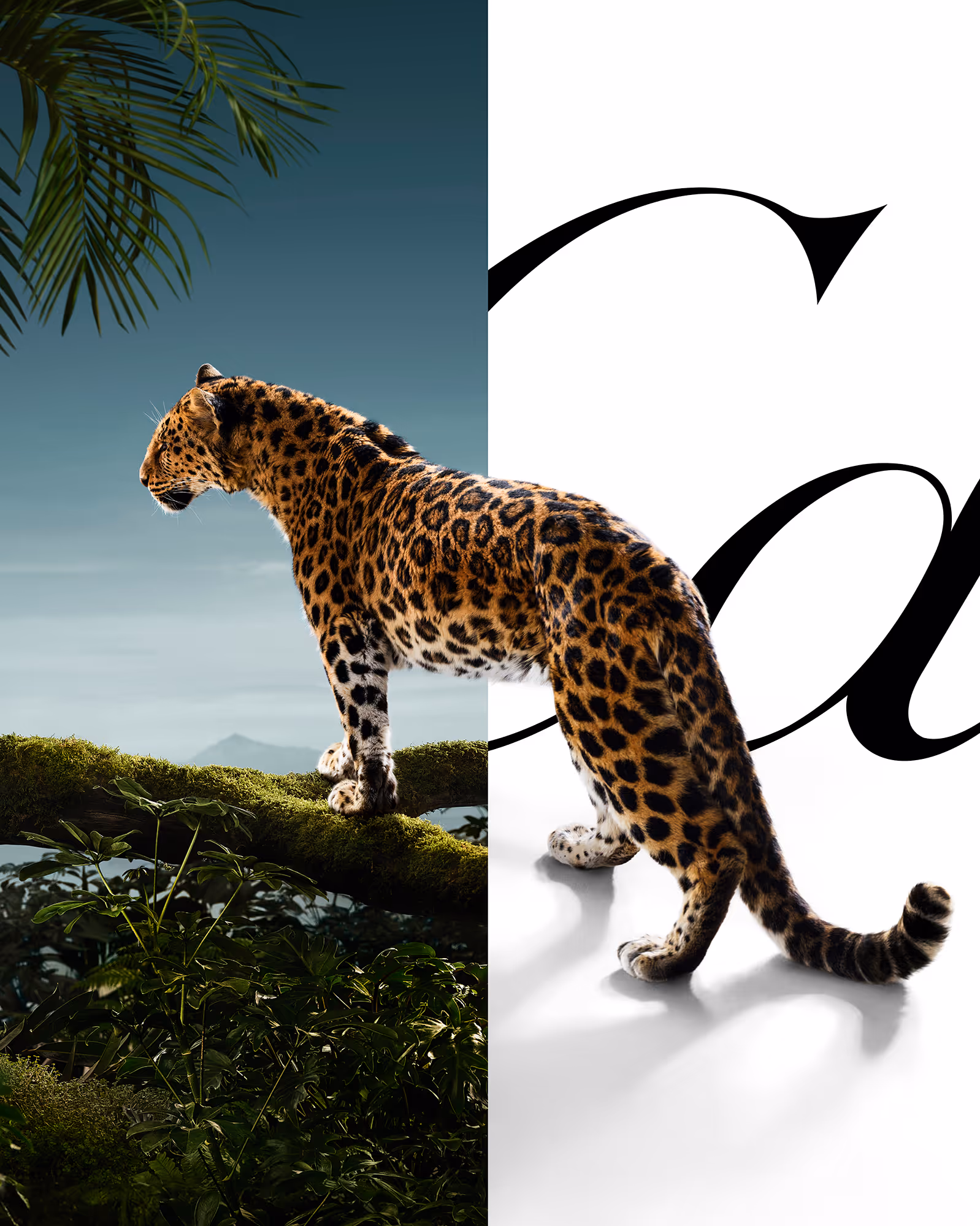 Panthère de Cartier