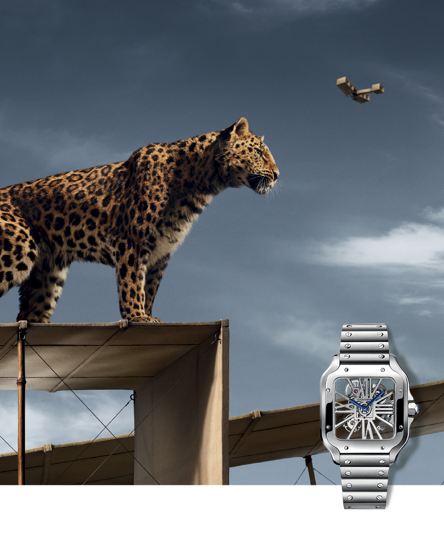 CARTIER • NEW TERRITORIES • SANTOS