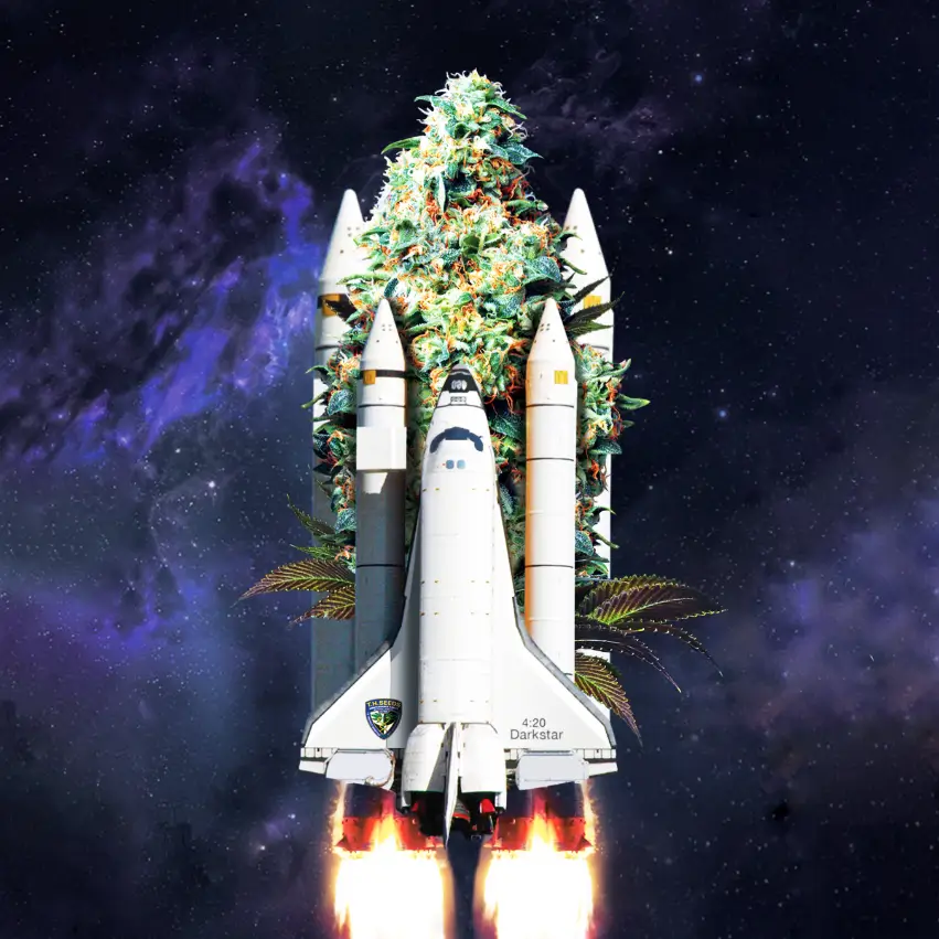 Photo illustrating Darkstar by T.H. Seeds