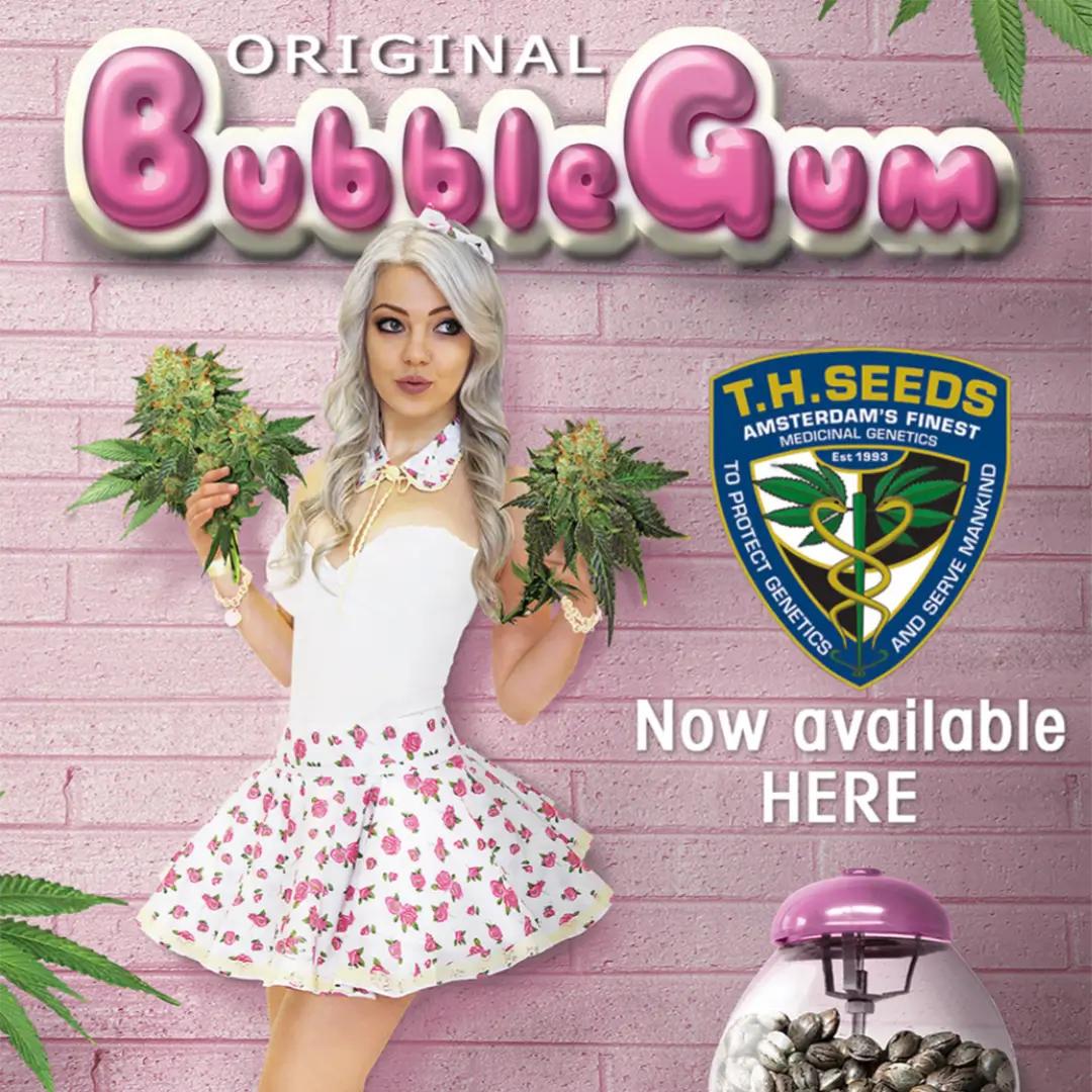 Photo illustrating Bubblegum by T.H. Seeds